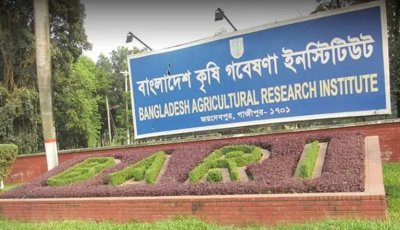 বাংলাদেশ কৃষি গবেষণা ইনস্টিটিউটে ১৯১ জনের বিশাল নিয়োগ