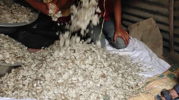 ব্রাহ্মণবাড়িয়ার মহাসড়কে টর্চ জ্বালিয়ে সংঘর্ষ